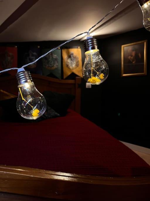 La Maison Des Sorciers ! Saint-Brieuc Extérieur photo